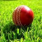cricket-ball-on-grass