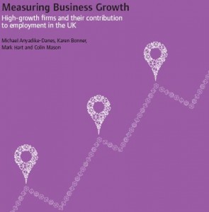nesta-measuring-business-growth-oct09