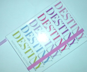 destiny-notebook-shiny