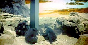 2001-obelisk-and-monkeys